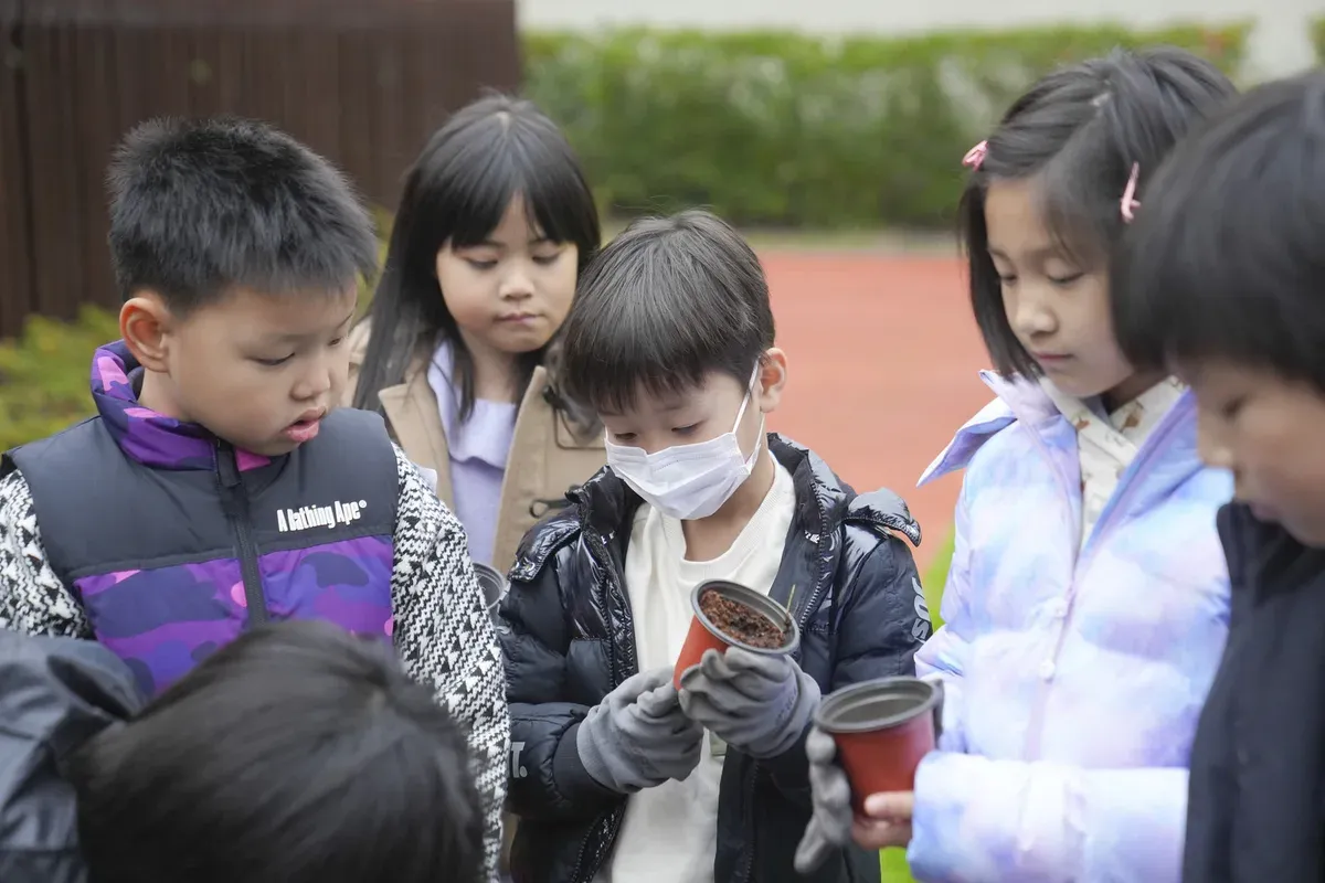 上海民办双语学校-小学课程