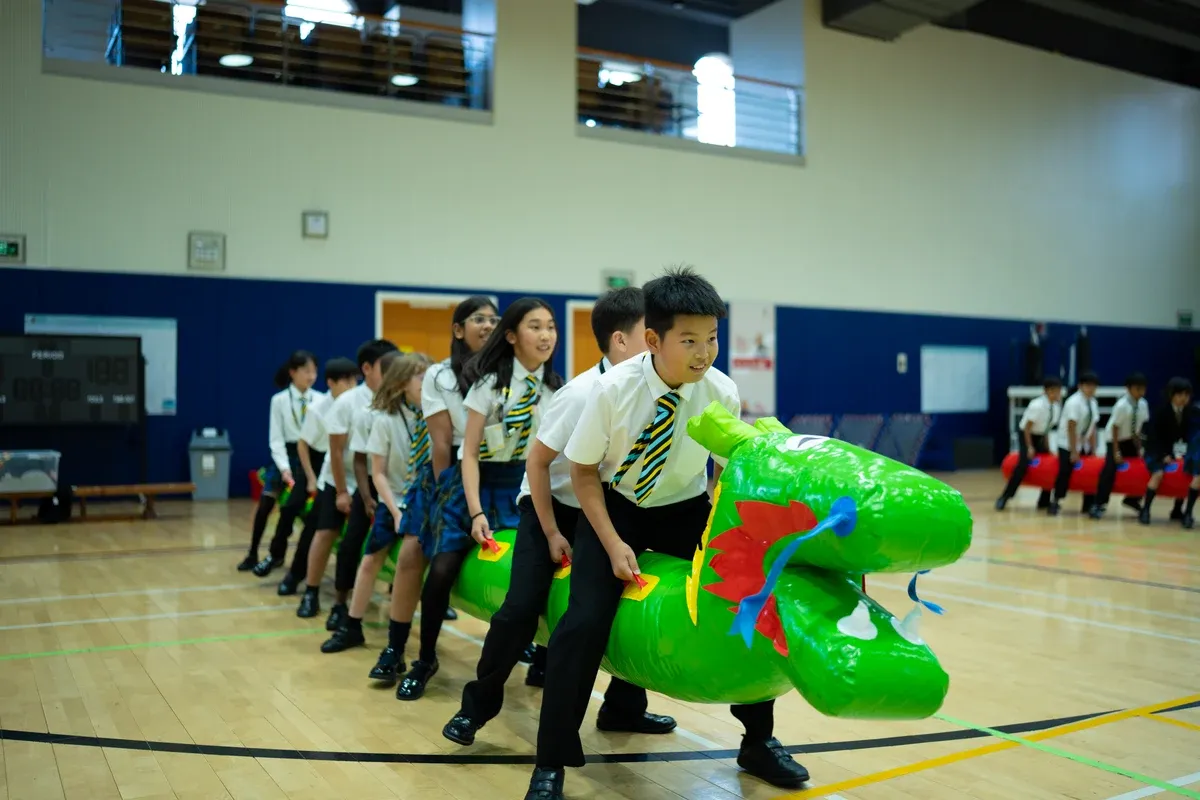 Dragon Boat Competition