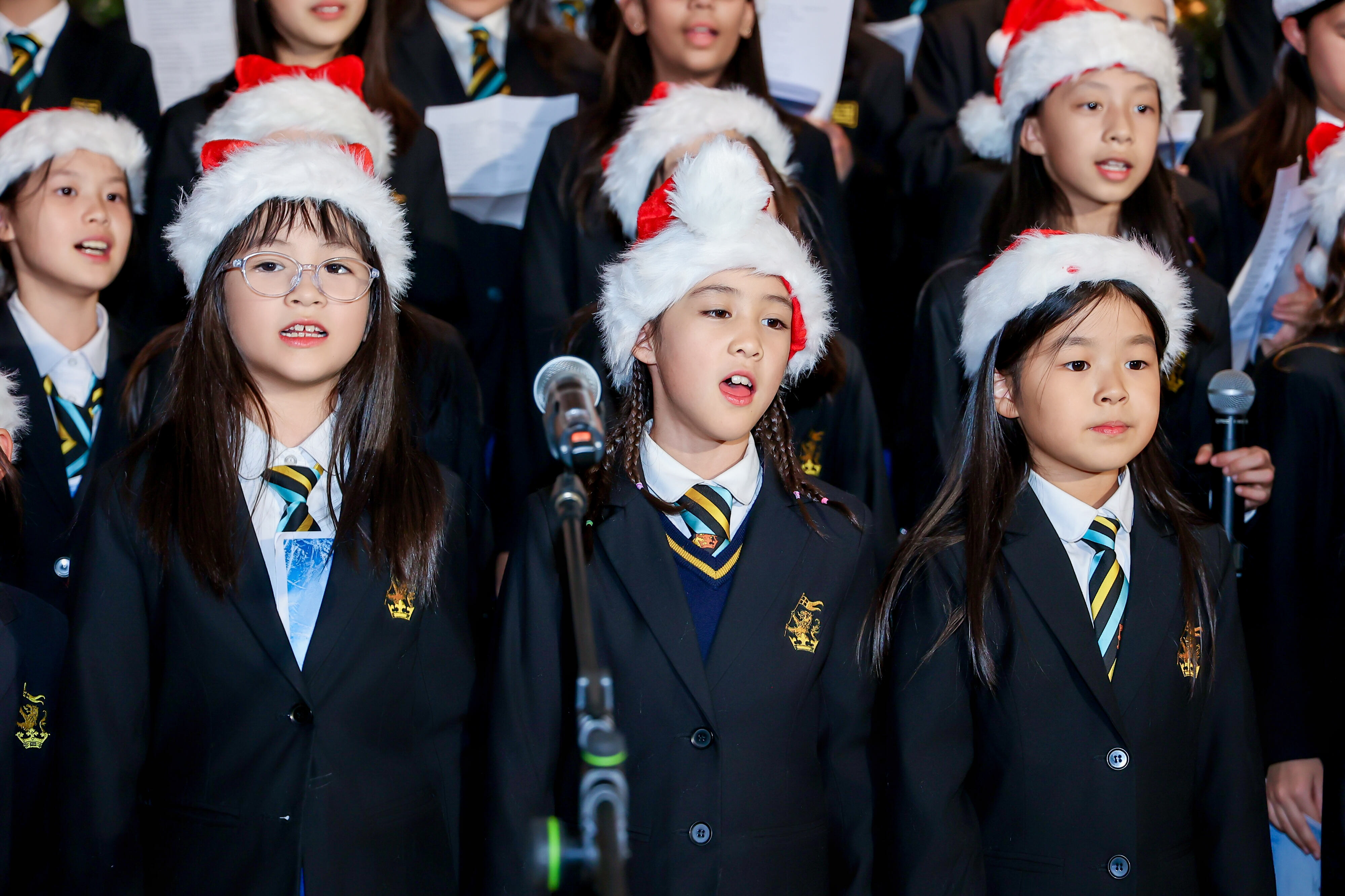Wellington Voices Carrying Warmth Across the City