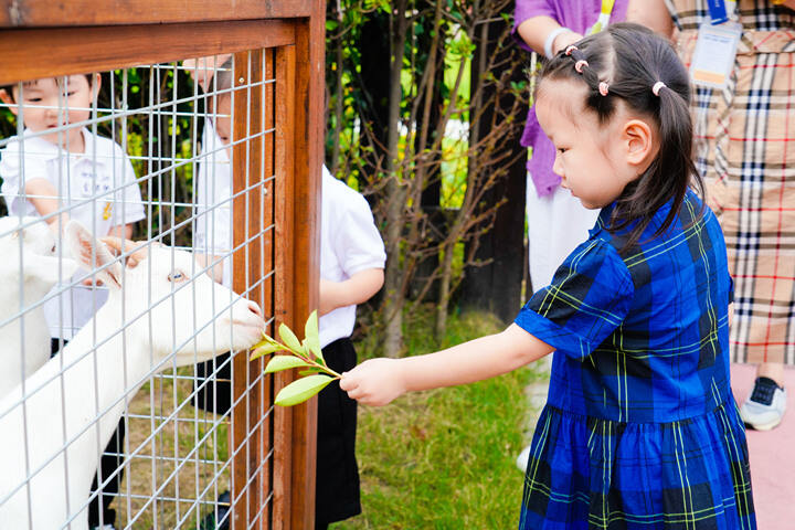 欢迎访问惠灵顿教育集团旗下学校-杭州市萧山区民办惠立学校官网，了解学校最新信息。