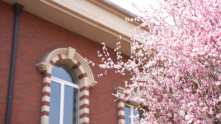 欢迎访问惠灵顿教育集团旗下学校-杭州市萧山区民办惠立学校官网，了解学校最新信息。