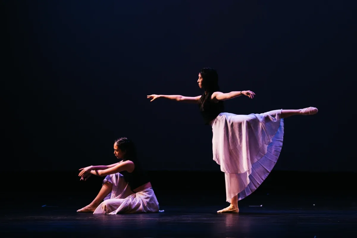 Video Gallery