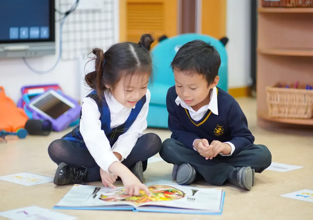 Curriculum Overview