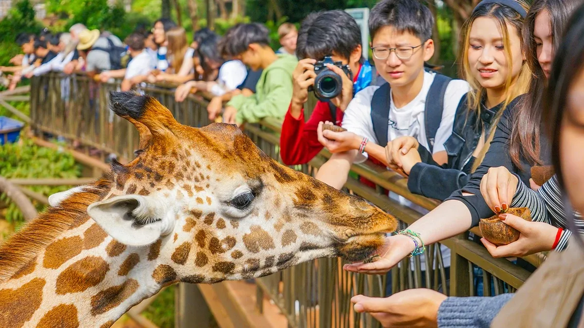 教育远足活动