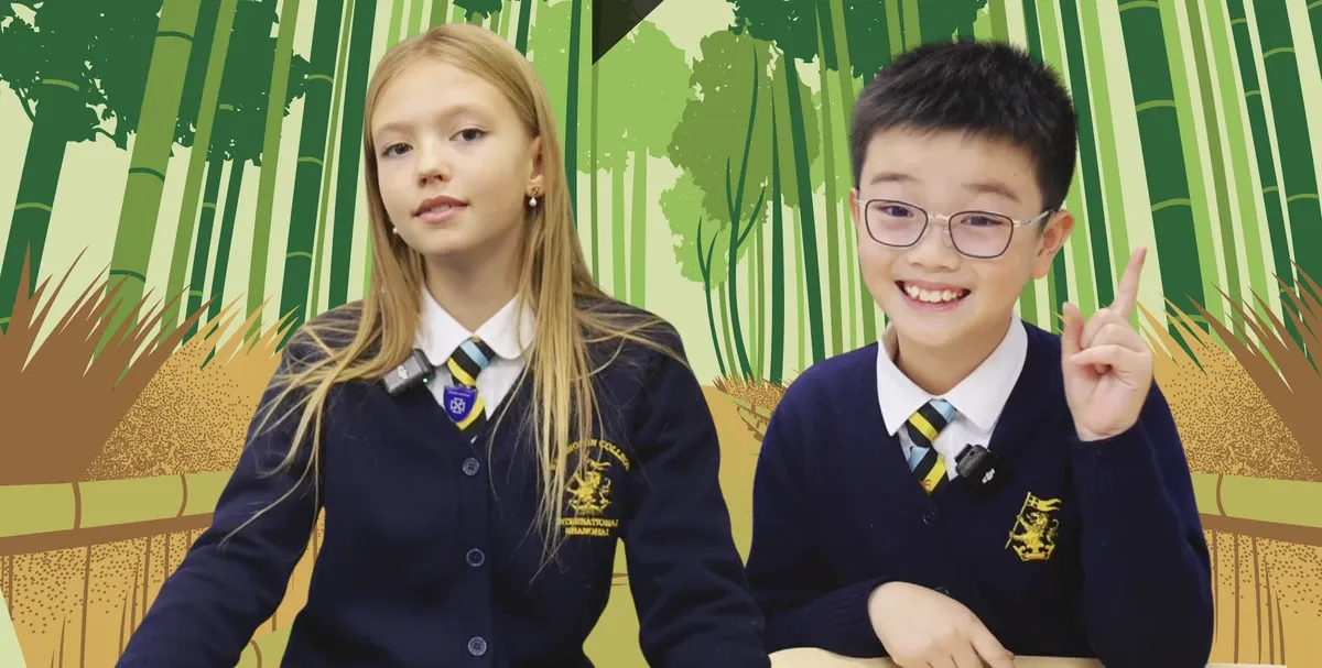 Chinese Bamboo Project 2026