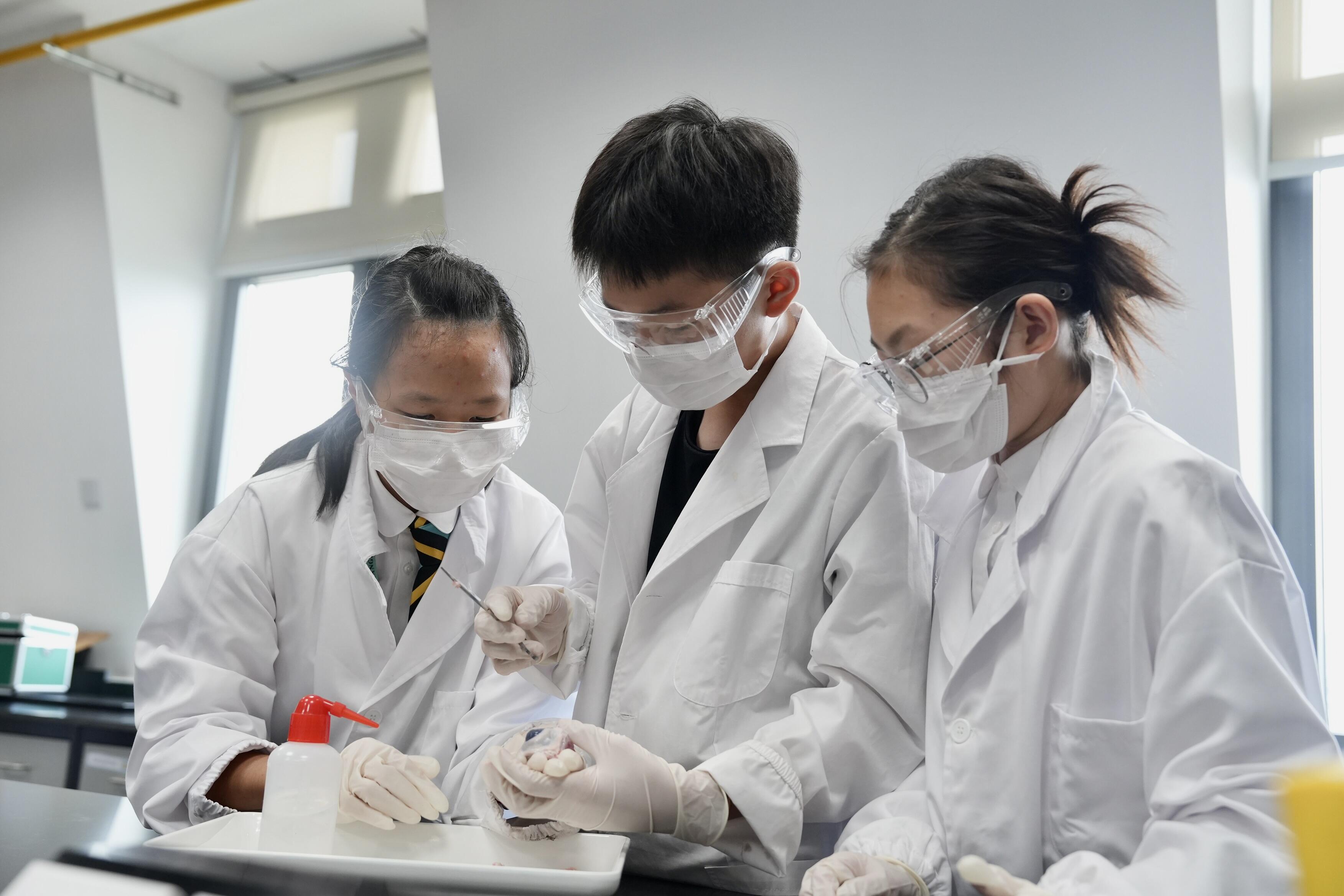 上海双语中学-自然科学课程