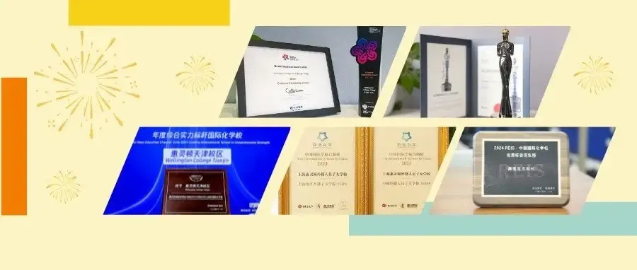 回望精彩2024，共启新岁旅程