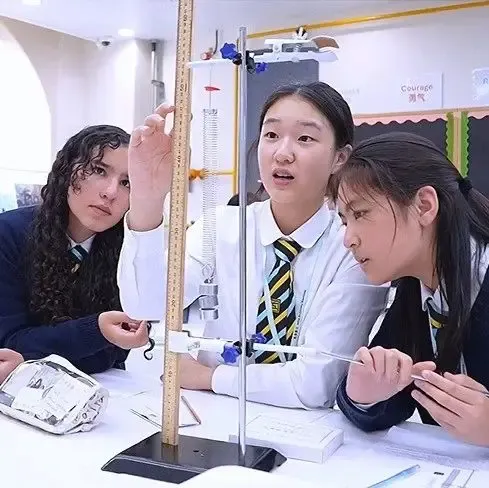 Pupil Leadership