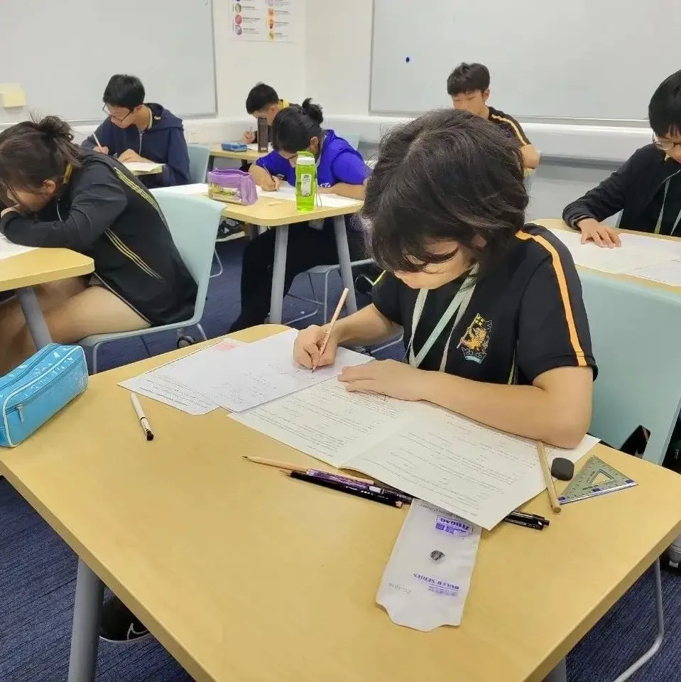 惠灵顿学子在美国数学竞赛中大放异彩