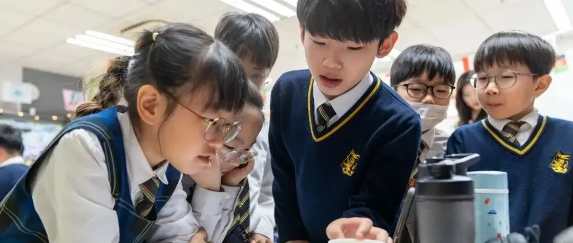 Celebrating Junior School Science Week