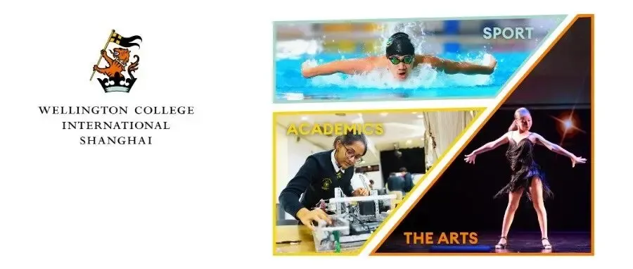 You're Invited: Fellows and Scholars Info Session on November 20