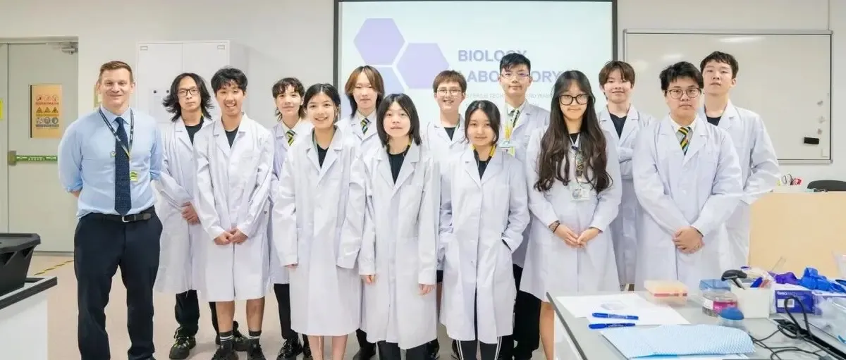 These Budding Wellington Scientists Solved a Maritime Mystery